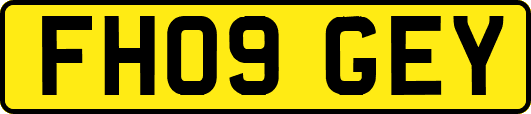FH09GEY