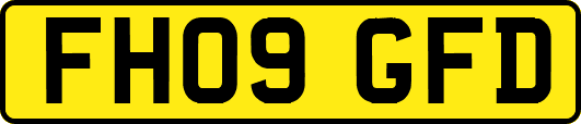 FH09GFD