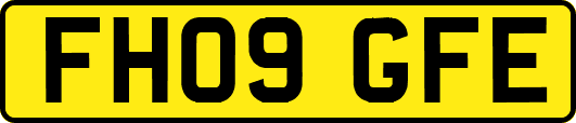 FH09GFE