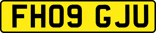 FH09GJU