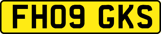 FH09GKS