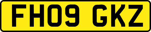 FH09GKZ
