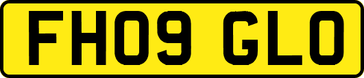 FH09GLO
