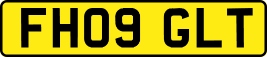 FH09GLT