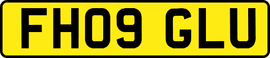 FH09GLU