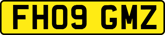 FH09GMZ