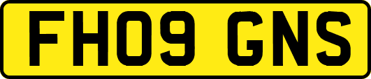 FH09GNS