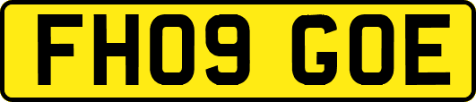 FH09GOE