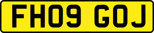 FH09GOJ
