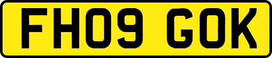 FH09GOK