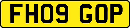 FH09GOP