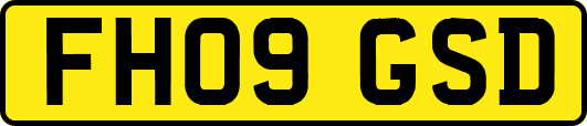 FH09GSD