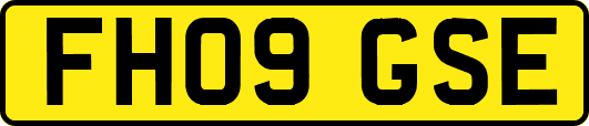 FH09GSE