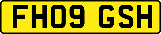 FH09GSH