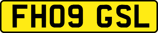 FH09GSL