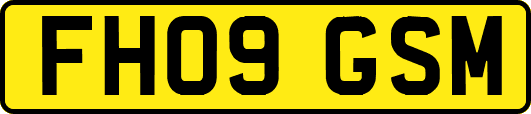 FH09GSM