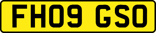 FH09GSO