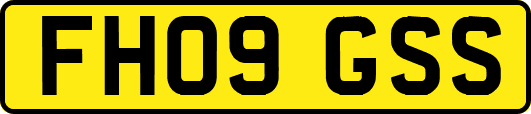FH09GSS