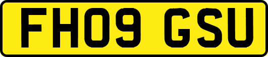 FH09GSU