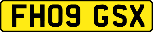 FH09GSX