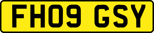 FH09GSY