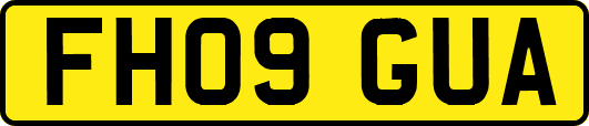 FH09GUA