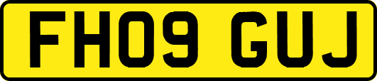 FH09GUJ