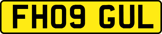 FH09GUL
