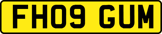 FH09GUM