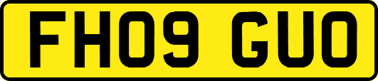 FH09GUO