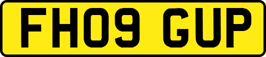 FH09GUP