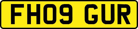 FH09GUR