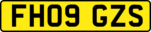 FH09GZS