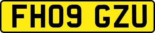 FH09GZU