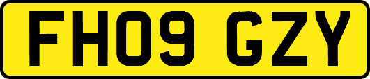 FH09GZY