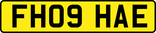 FH09HAE