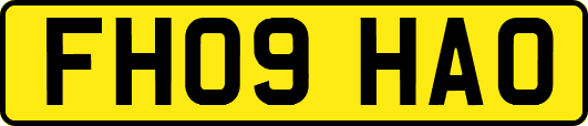 FH09HAO
