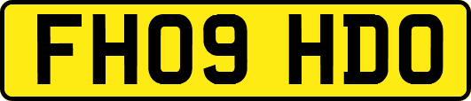 FH09HDO