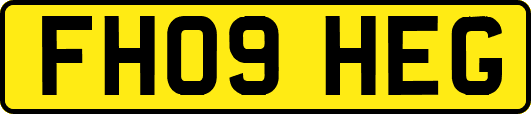 FH09HEG