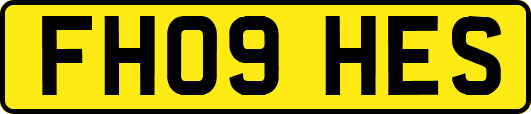 FH09HES