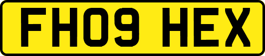 FH09HEX