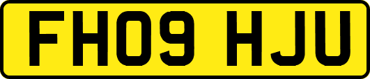 FH09HJU