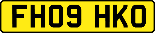FH09HKO