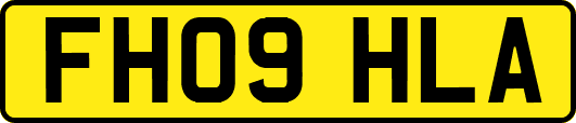 FH09HLA