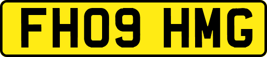 FH09HMG