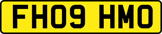 FH09HMO