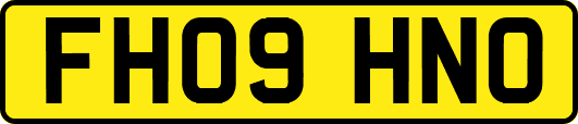 FH09HNO
