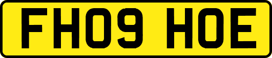 FH09HOE