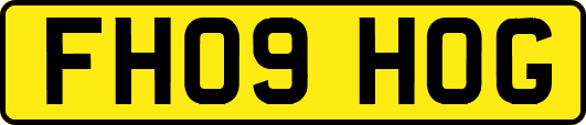 FH09HOG