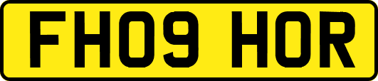 FH09HOR